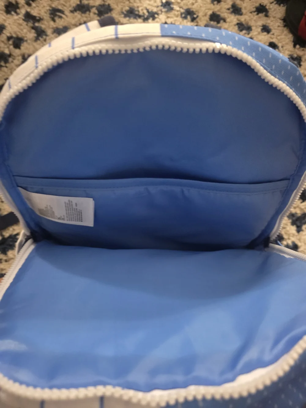 Jordan Men's Blue and White Split-Panel Backpack